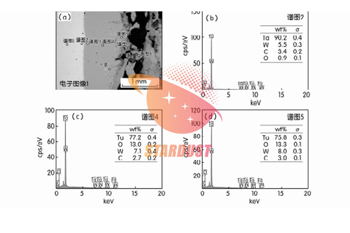 3D Printed Ta10W Alloy Protective Coating Failure Factors Analysis