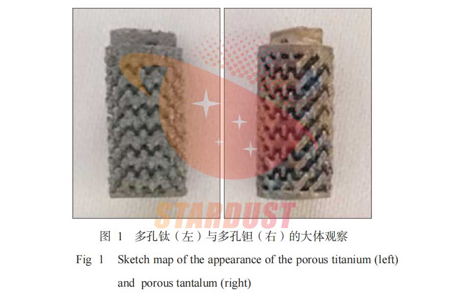 Experimental study on the effect of 3D printed porous tantalum implants on bone integration